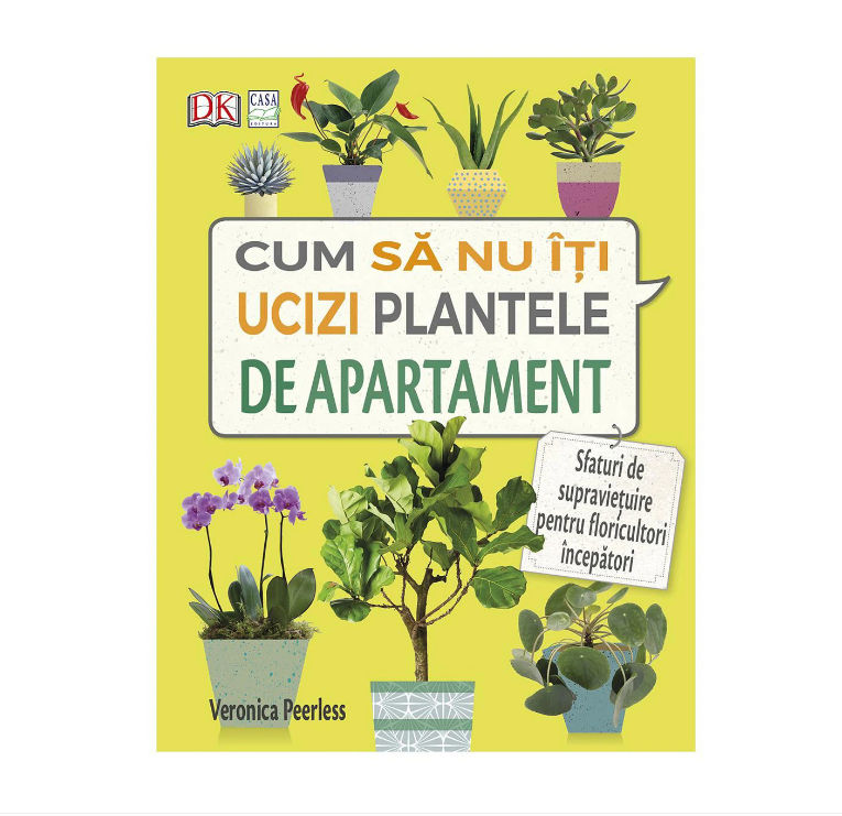 Cum sa nu-ti ucizi plantele de apartament